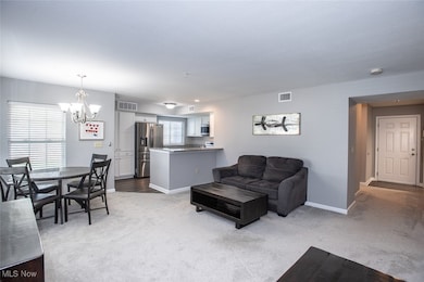 Chandlers Lane Condominiums unit 102, Olmsted Falls, OH 44138 - photo 5