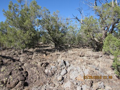 Banks Lot 944 KEW (7)