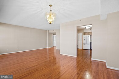 Skyline House unit 1509, Baileys Crossroads, VA 22041 - photo 4