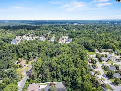 1802 Pine Lake Dr, West Columbia, SC 29169 - photo 6