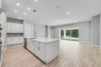 919 Tassleflower Trail, Saint Cloud, FL 34771 - photo 6