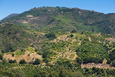 Spectacular Mountain Views