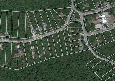 39 Dove Ln, Holiday Island, AR 72631 - photo 2