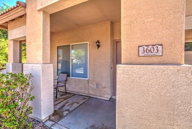 3603 S Arroyo Ln-5