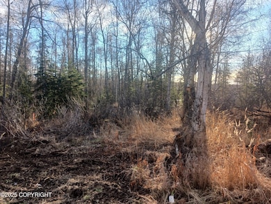 Resized_20251020_154418