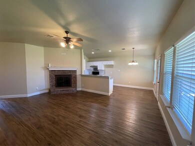 219 Sardius Blvd, Granbury, TX 76049 - photo 4