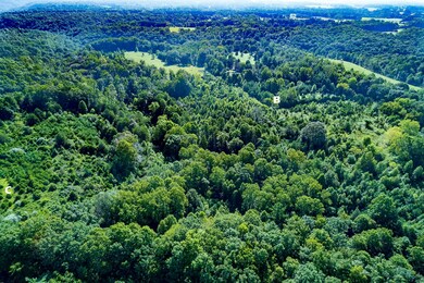 0 50 Ac Smith Ln, Cookeville, TN 38501 - photo 3