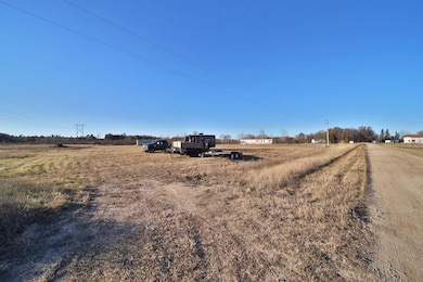 41207-2108 Brook Ln SW, Sylvan Township, MN 56473 - photo 2