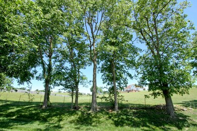 849 E Country Ridge St, Nixa, MO 65714 - photo 3