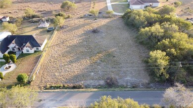 0 Mile 8 1 2 N, Donna, TX 78537 - photo 2