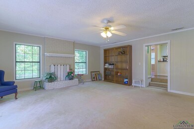 13396 Burro Dr, Tyler, TX 75707 - photo 4