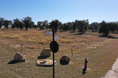 000 Ballpark Way, Jacksboro, TX 76458 - photo 4