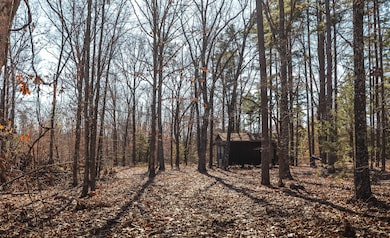 000 Deason Drive-Tract 1, Licking, MO 65542 - photo 5