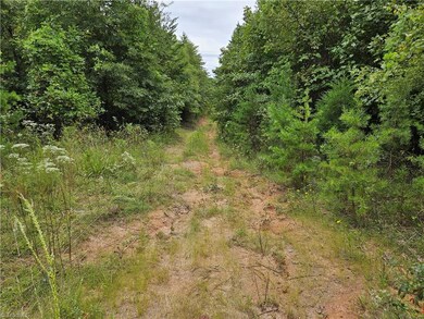 Follow this road bed toward back on left pink flag is soils area