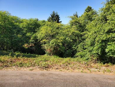 TL 4100 Orchard Loop, Netarts, OR 97141 - photo 3