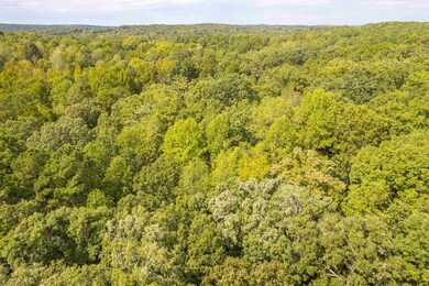 0 Moore Mountain Rd unit 2475744, Baldwin, NC 27312 - photo 7