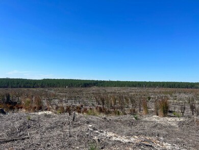 2762 Bullard Ford Rd, Hartsville, SC 29550 - photo 5