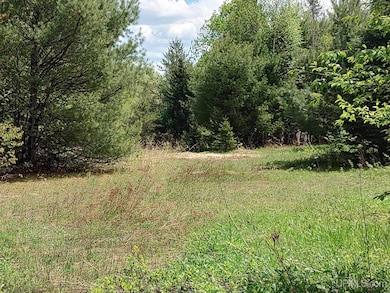 TBD Dunham Rd, Marenisco, MI 49947 - photo 6