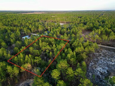 0 Tbd Sw 124th Terrace Rd, Ocala, FL 34481 - photo 4