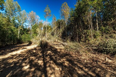 Parcel 1 Coppers Ford Rd, Tylertown, MS 39667 - photo 5