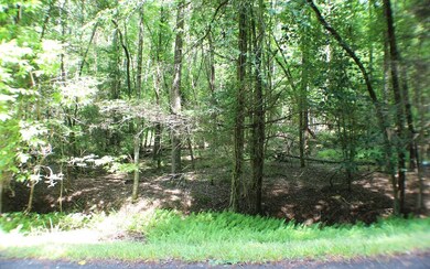 Additional View