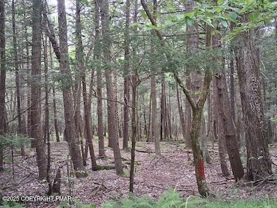 18 Robyn Ln, Pocono Lake, PA 18347 - photo 3