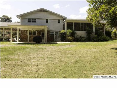 This is the back yard and rear of the house.