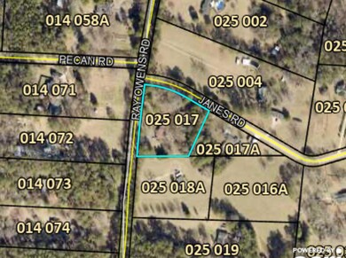 3437 Ray Owens Rd, Appling, GA 30802 - photo 5