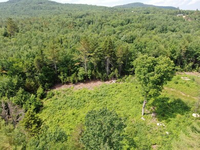 DJI_0237