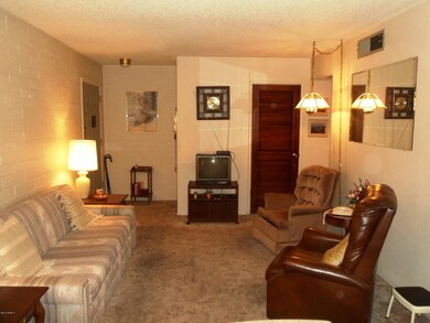 Living Room Area