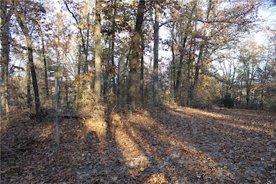 0 Carew Dr unit 1133051, Bella Vista, AR 72714 - photo 6