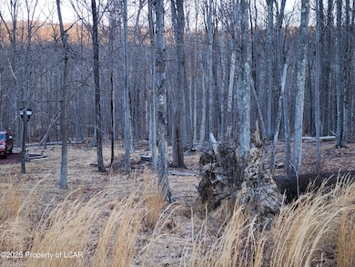 JA 254R Tuscarora Dr, Hazle Township, PA 18202 - photo 3