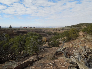 View of undeveloped land