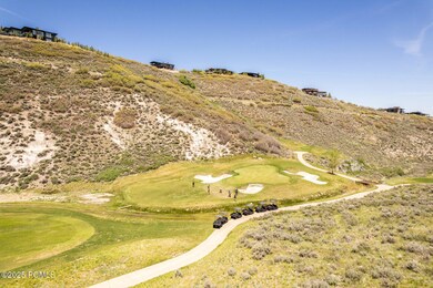 005_11-7429_golden_bear_loop11_481