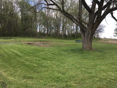 3331 Highway 81, Fall Branch, TN 37656 - photo 6