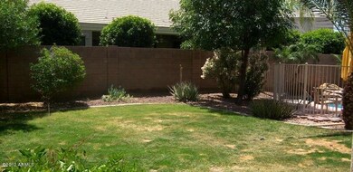 Grassy Play Area for the Kids or Dogs