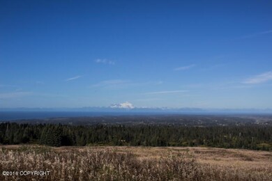 Volcano views