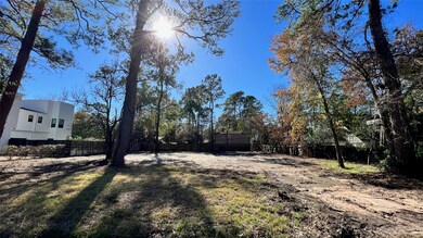 11919 Memorial Dr, Houston, TX 77024 - photo 7