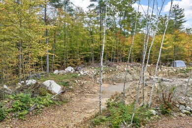 199 Molly Philbrick Rd, Effingham, NH 03882 - photo 7