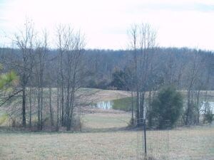 18 ac - fish stocked pond