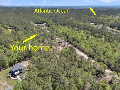 5554 Giddyup Ln, Awendaw, SC 29429 - photo 3