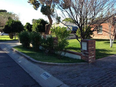 front yard
