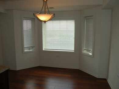 14130 Sheffield Dr unit 101, Homer Glen, IL 60491 - photo 6