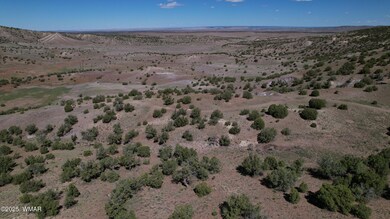0 Co Rd 5062 Lot 1 3 53 Acres, Concho, AZ 85924 - photo 3
