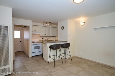 634 W Main St, Aspen, CO 81611 - photo 6