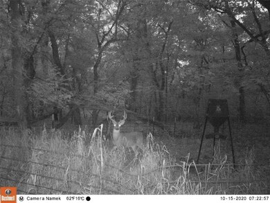 27014 U S Route 377, Gordonville, TX 76245 - photo 4