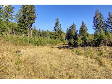 0 NE Hancock Rd unit 1 491452966, Camas, WA 98607 - photo 5