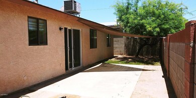 back yard