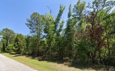 0 SW 69th Place unit MFRG5075101, Dunnellon, FL 34431 - photo 2