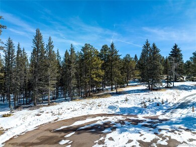 405 Silvermoon Heights, Divide, CO 80814 - photo 5